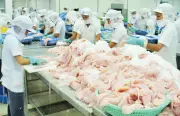 Cần Thơ tháo gỡ nút thắt, thúc đẩy kinh tế tư nhân phát triển bền vững