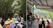 Cồn Thới Sơn phân luồng khách, chỉnh trang bến để giảm ùn ứ sau hiệu ứng mạng xã hội