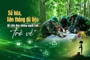 Công nghệ kết nối dữ liệu tìm kiếm liệt sĩ trong Chiến dịch 500 ngày đêm