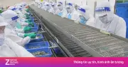 Công ty thủy sản JOS báo lỗ quý II, doanh thu gần như bằng 0