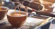 Cảnh báo: Không nên uống cà phê với bưởi kẻo 'lợi bất cập hại'