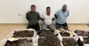 Cảnh sát Dubai đột kích biệt thự, thu giữ lô trầm hương 3,3 triệu USD, bắt 4 nghi phạm giả công chúa