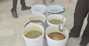 Cảnh sát Thái Lan triệt phá đường dây sản xuất siro ho giả quy mô lớn, thu giữ hơn 170.000 chai