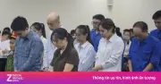 Cựu cục phó Hải quan nhờ cấp dưới đóng giả doanh nghiệp đi hối lộ cán bộ Cục Quản lý dược