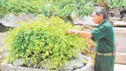 Cựu chiến binh Ninh Bình làm kinh tế giỏi, giảm nghèo bền vững
