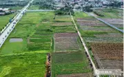 Dự thảo luật quy định 9 trường hợp không được bồi thường về đất