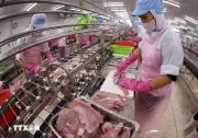 Doanh nghiệp cần lưu ý quy định mới về thực phẩm khi xuất khẩu sang Thổ Nhĩ Kỳ