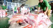 Doanh nghiệp xuất khẩu gạo sắp được xếp loại tín nhiệm 5 cấp