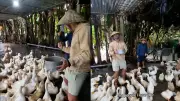 Du khách Tây 'bắt beat chăn vịt' - Xu hướng du lịch chân thực lên ngôi