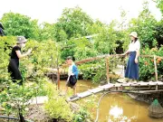 Du lịch Cần Thơ đổi mới sản phẩm, thu hút du khách mùa hè với trải nghiệm xanh