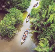 Du lịch đường sông Vĩnh Long hút khách với trải nghiệm sống cùng dòng sông