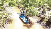 Du lịch nông nghiệp Cần Thơ: Nâng tầm giá trị trái cây miệt vườn
