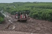 Dậy từ 3h sáng, lội bùn, đi xe xích: Hàng trăm du khách đổ về Hưng Yên săn bình minh trên biển vô cực