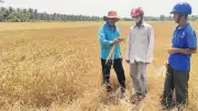 El Nino quay lại, cảnh báo hạn hán và xâm nhập mặn diện rộng đến năm 2027