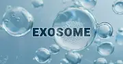 Exosome có thực sự hồi sinh làn da? Sự thật đằng sau cơn sốt công nghệ