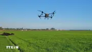 FAO lần đầu tổ chức hội nghị toàn cầu về nông nghiệp thông minh