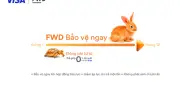 FWD hợp tác Visa ra mắt trả góp phí bảo hiểm lãi suất 0% tại Việt Nam
