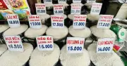 Giá gạo Việt Nam tăng dù Philippines ngừng nhập: Lý do từ nguồn cung và nhu cầu châu Phi