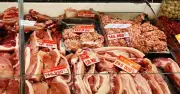 Giá heo hơi hôm nay 2.7.2026: Ngừng lao dốc, dao động 60.000-66.000 đồng/kg