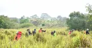 Giữ rừng thời công nghệ: Mô hình Katien safari ở Cát Tiên