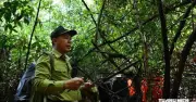 Giữ rừng thời công nghệ: Người dân kiếm sống từ bảo vệ rừng