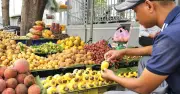 Gian hàng trái cây tuổi thơ ở TP.HCM: Người lớn tìm ký ức, trẻ nhỏ lần đầu biết