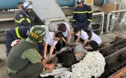 Giải cứu nam thanh niên mắc kẹt dưới dầm cầu Thăng Long tại Hà Nội
