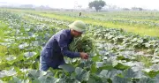 Giảm nghèo thông tin: Lấy người dân làm trung tâm xây dựng nông thôn mới bền vững