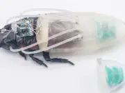 Gián cyborg mang bộ đồ lặn có thể cứu hộ dưới nước tới 3 tiếng