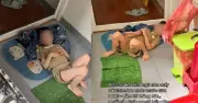 Giáo viên mầm non bị tố bắt trẻ tự kỷ ngủ trước cửa nhà vệ sinh