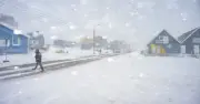 Greenland dừng hợp tác mới với Mỹ vì lo ngại dữ liệu và an toàn nhà khoa học