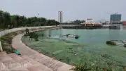 Hồ điều hòa Ngọc Thụy ô nhiễm nặng, người dân tập thể dục khó chịu