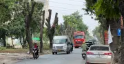 Hà Nội chặt hạ hàng cây cổ thụ chuẩn bị mở rộng đường nghìn tỷ