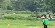 Hà Nội: Phường nhận trách nhiệm vụ rau phun thuốc hôm trước bán hôm sau