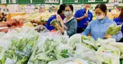 Hệ thống truy xuất nguồn gốc nông sản quốc gia chính thức vận hành