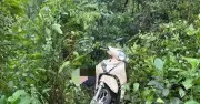 Hai mẹ con lao xe máy xuống vực trên đường lên chùa