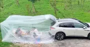 Hai người đàn ông dùng phòng điều hòa sau ô tô để nấu ăn dưới trời nắng nóng