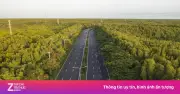 Hai tuyến xe buýt miễn phí xuyên rừng ngập mặn Cần Giờ ở TP.HCM
