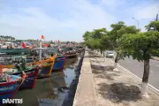 Hải Phòng khẩn trương ứng phó áp thấp nhiệt đới có nguy cơ mạnh lên thành bão