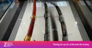 Hơn 100 cổ vật thời Nguyễn quy tụ tại triển lãm ở điện Long An, Huế