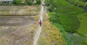 Hơn 80 hộ dân Cà Mau chờ đường bê tông suốt 40 năm, vẫn lội bùn mỗi mùa mưa