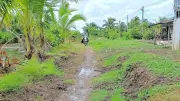 Hơn 80 hộ dân Cà Mau khát khao con đường bê tông sau 40 năm chờ đợi