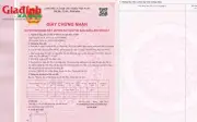 Hướng dẫn 4 bước đơn giản cấp sổ đỏ lần đầu năm 2026