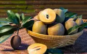 Hồng xiêm: 10 lợi ích sức khỏe và làm đẹp da từ loại quả quen thuộc