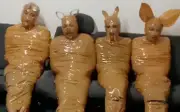 Hàng xóm ở Indonesia bắt nghi phạm cướp, trói bằng băng dính như Teletubbies