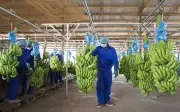 Hoàng Anh Gia Lai lãi đột biến 2.300 tỷ đồng nửa đầu năm 2026