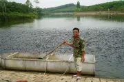 Đôi bạn thân biến hồ thủy lợi thành mỏ vàng kiếm nửa tỷ mỗi vụ