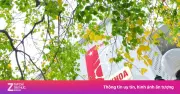 Đại học Bách khoa Hà Nội dự báo điểm chuẩn 2026 từ 20 đến trên 28,5