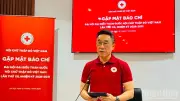 Đại hội Chữ thập đỏ Việt Nam lần thứ XII sẽ diễn ra vào tháng 7/2026