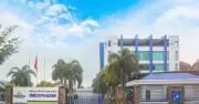 Imexpharm thay Chủ tịch HĐQT sau khi về tay hãng dược Trung Quốc